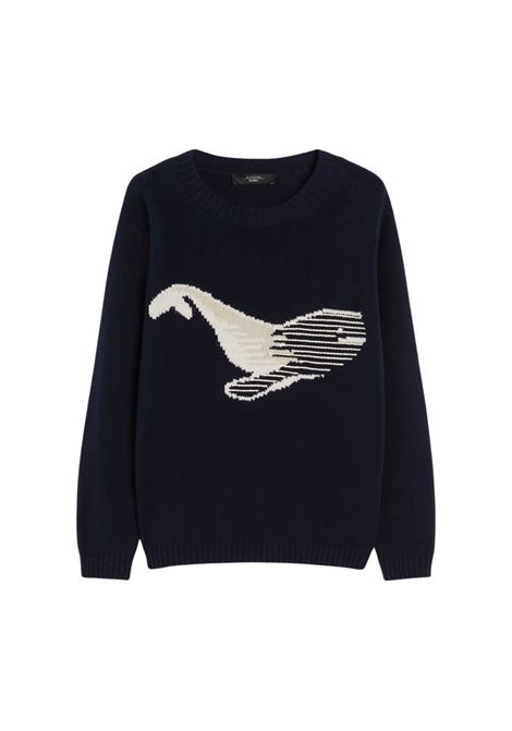 Maglia in cordonetto di cotone - BLU Weekend MAXMARA | NESPOLA002